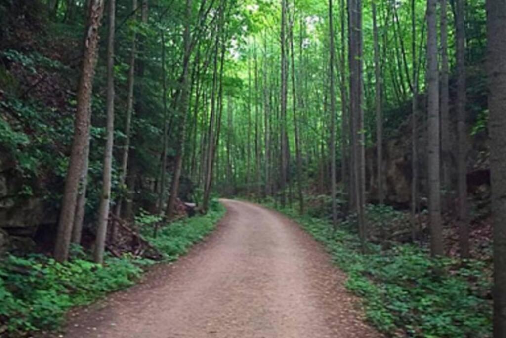 Stay In Ohiopyle Near The Gap Trail - Ohiopyle, Pa 外观 照片