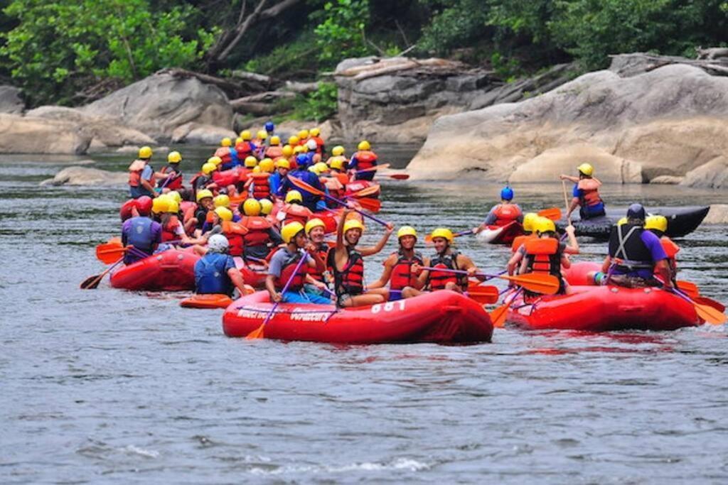 Stay In Ohiopyle Near The Gap Trail - Ohiopyle, Pa 外观 照片