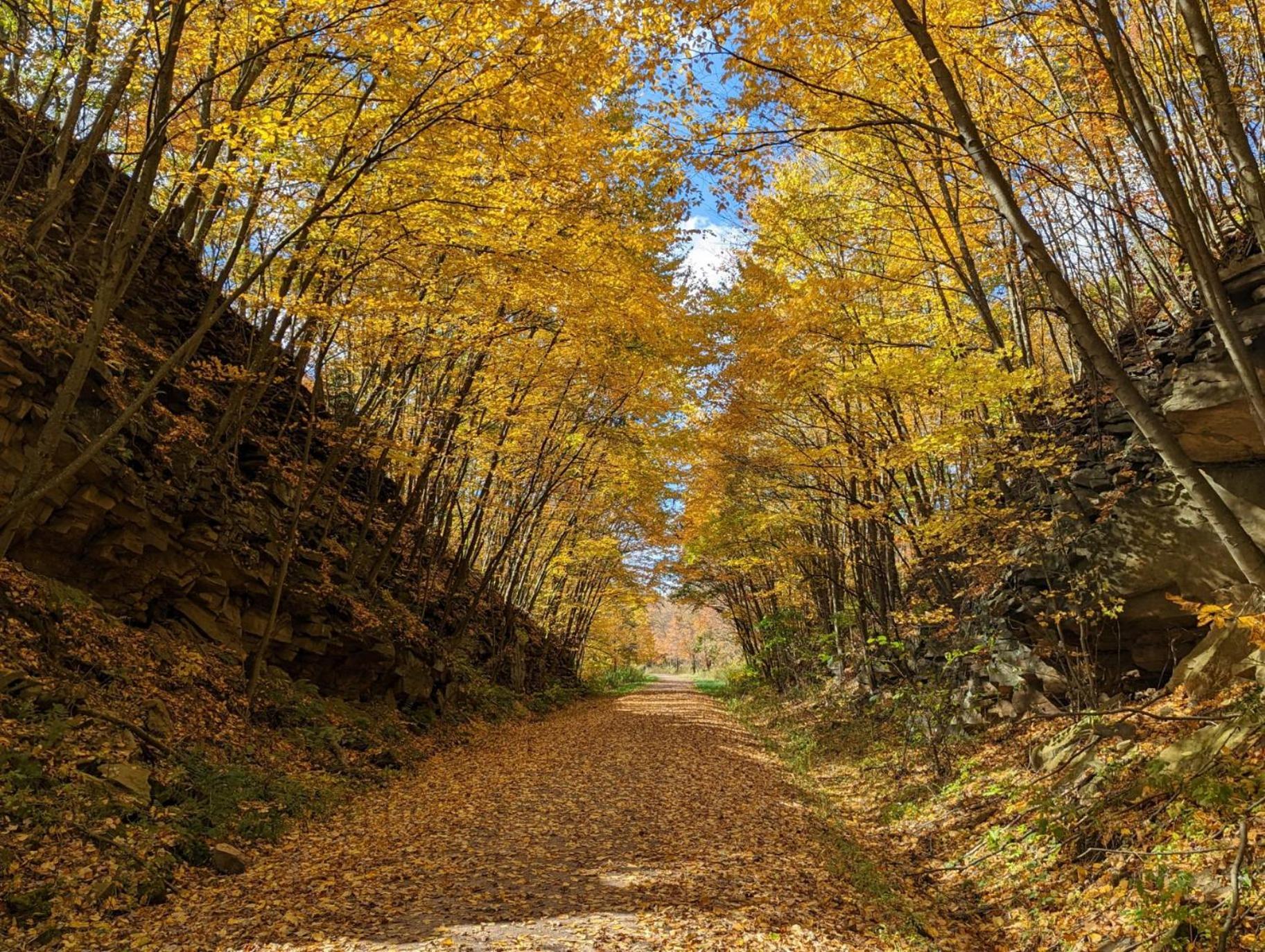 Stay In Ohiopyle Near The Gap Trail - Ohiopyle, Pa 外观 照片
